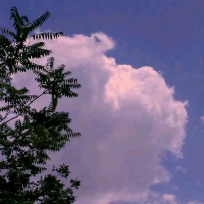 一血万杰台版下载