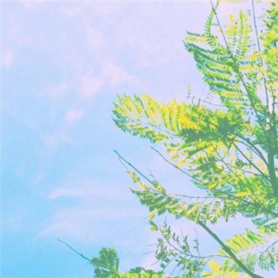 琉璃江湖手游下载